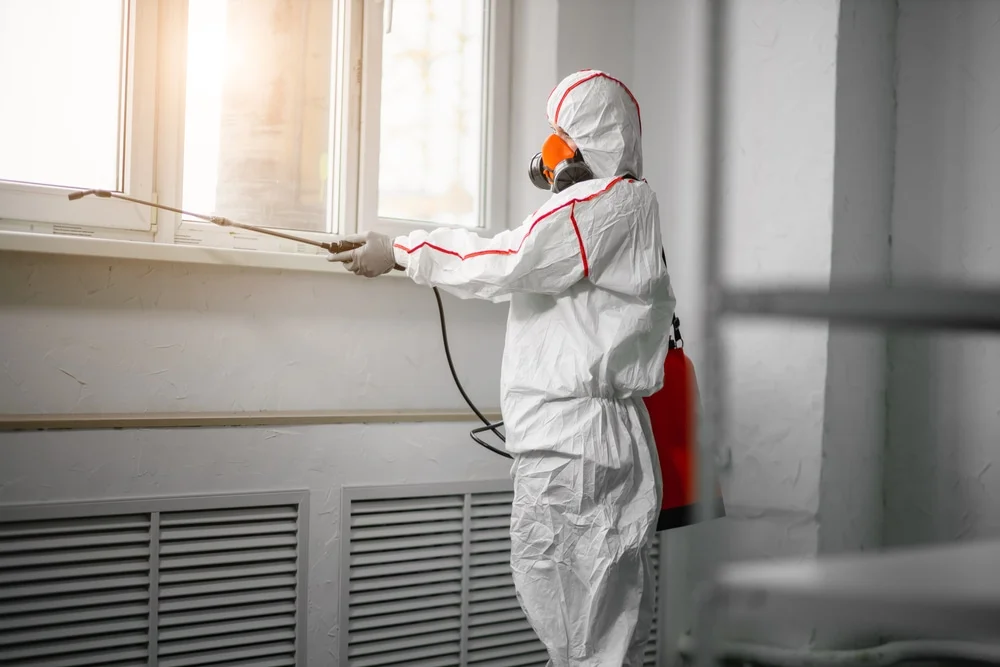 Professional mold remediation services in Wenatchee, WA